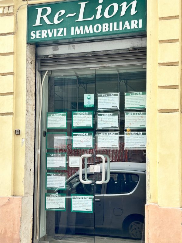 D13005D5-2E4E-48A9-A23A-0F4624009FA7